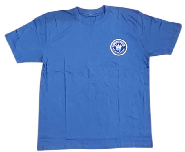 Dysali spark the change tee
