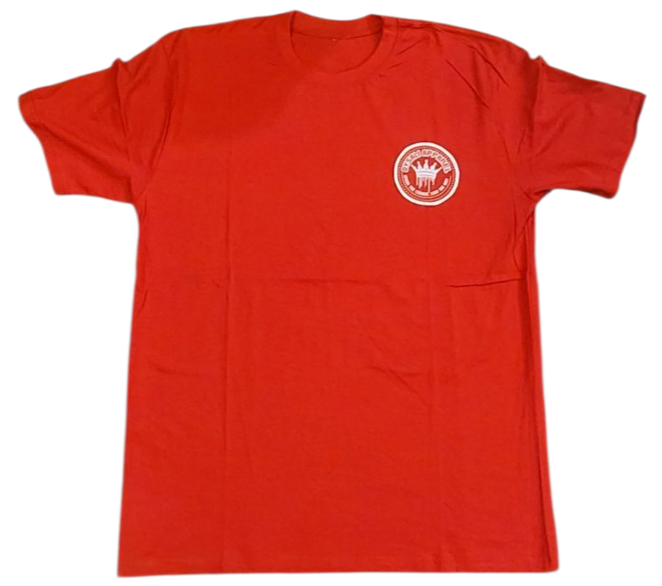 Dysali spark the change tee